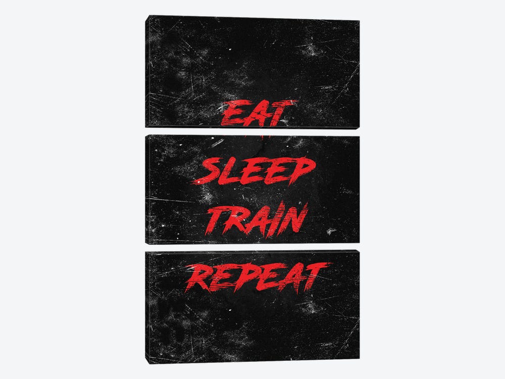 Eat Sleep Train Repeat Red by Durro Art 3-piece Canvas Print