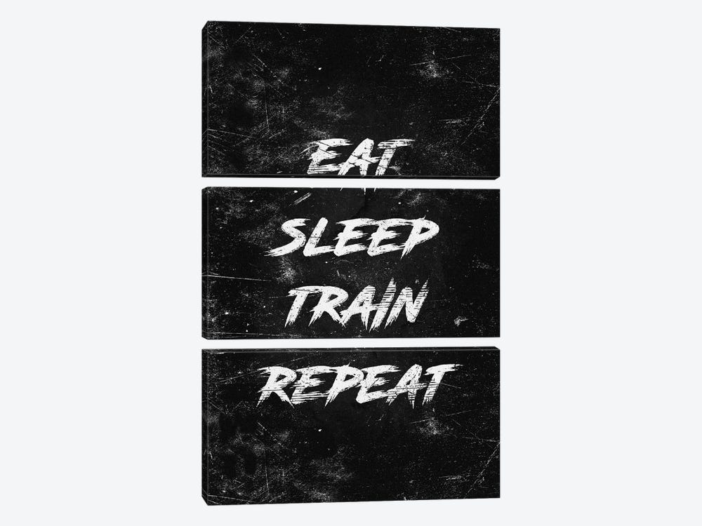 Eat Sleep Train Repeat White by Durro Art 3-piece Canvas Artwork