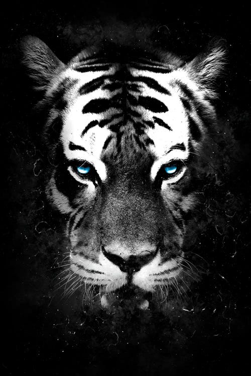 Wild One II by Durro Art wall art