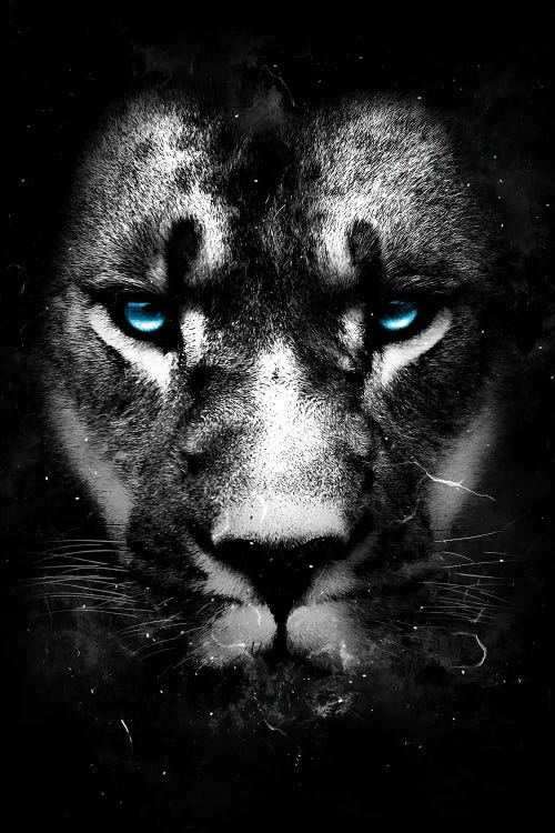 Wild One III by Durro Art wall art