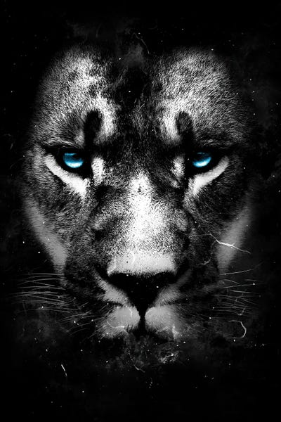 Lions: Wild One III by Durro Art