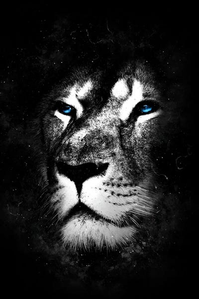 Wild One IV by Durro Art canvas print