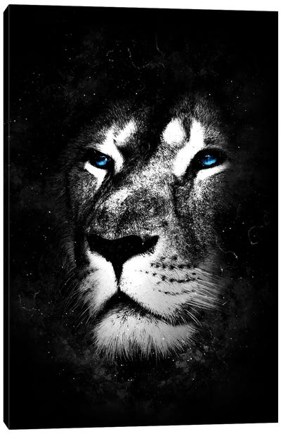 Wild One IV Canvas Art Print - Lion Art