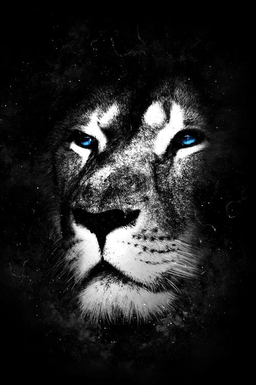 Wild One IV by Durro Art wall art