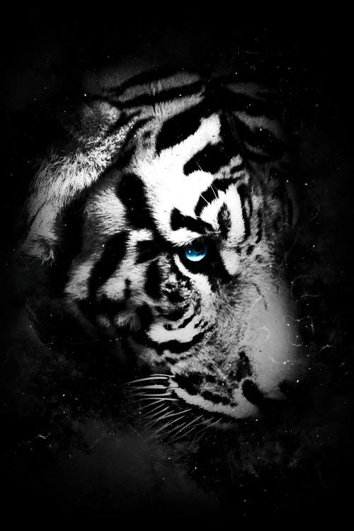 Wild One V by Durro Art wall art