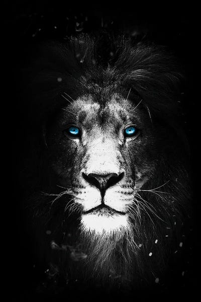 Wild One by Durro Art metal wall art