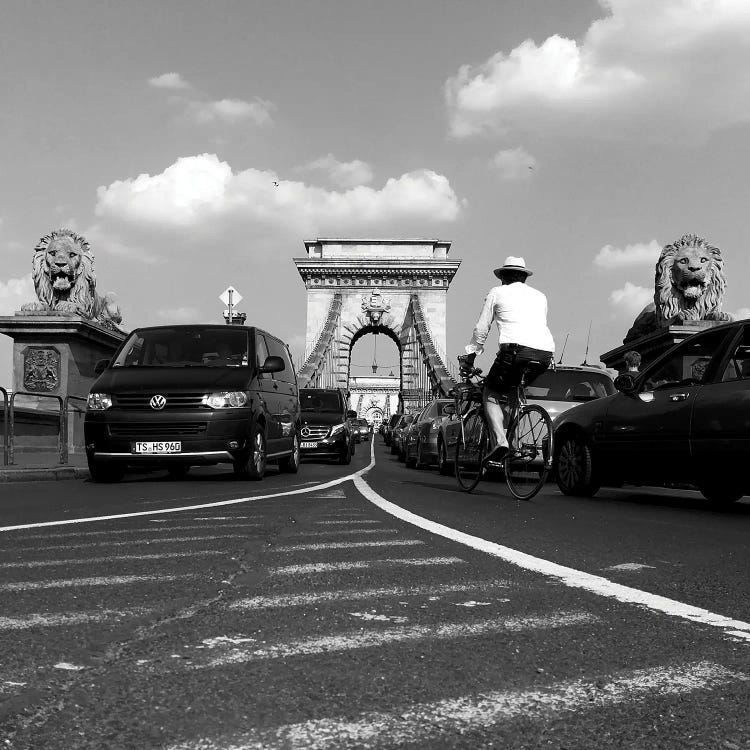 Bridge In Budapest by Amadeus Long wall art