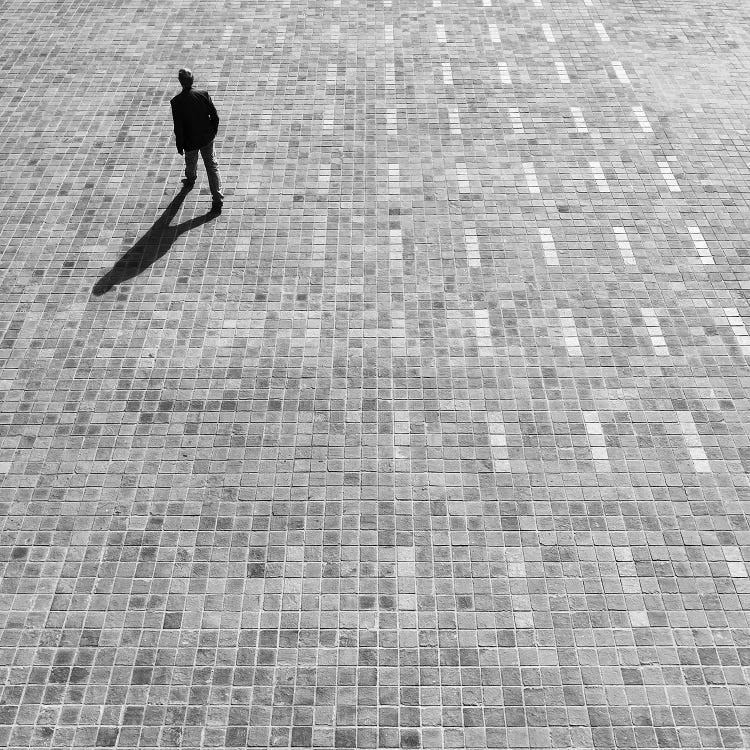 Lonely Planet by Amadeus Long wall art