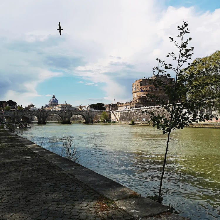 Rome In Spring