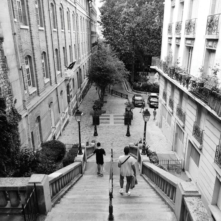 Steps In Paris by Amadeus Long wall art
