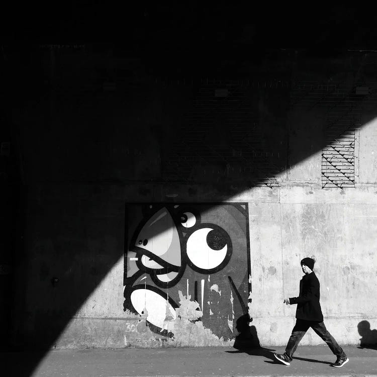 The Bird Is The Word by Amadeus Long wall art