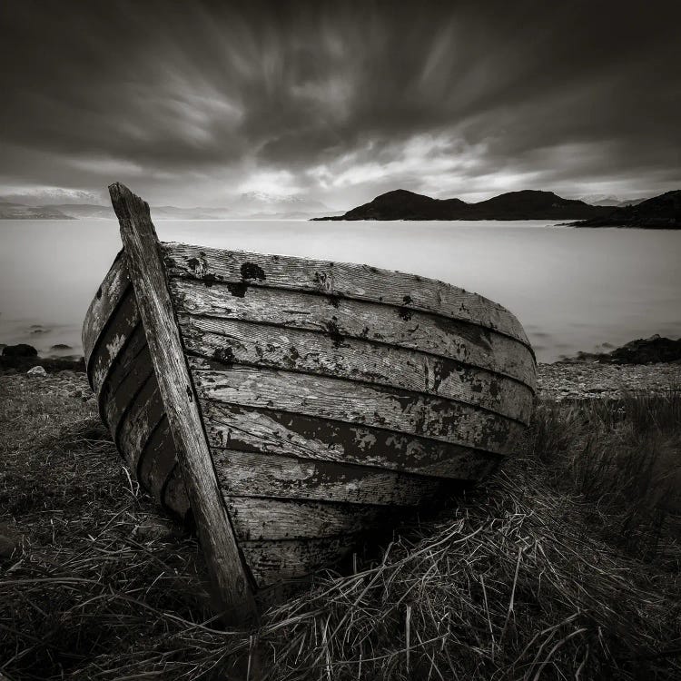 Cove Boat