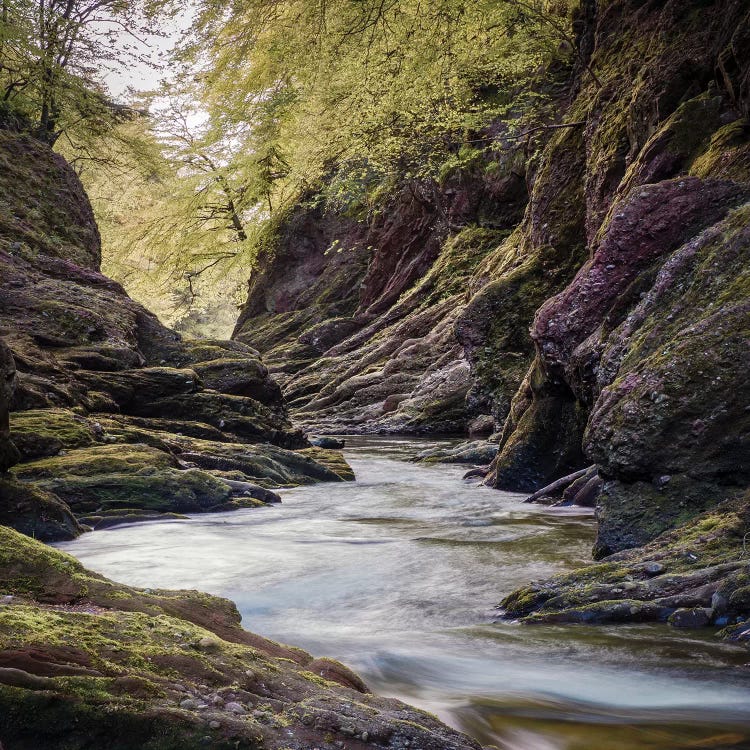 Beneath Gannochy Bridge by Dave Bowman wall art