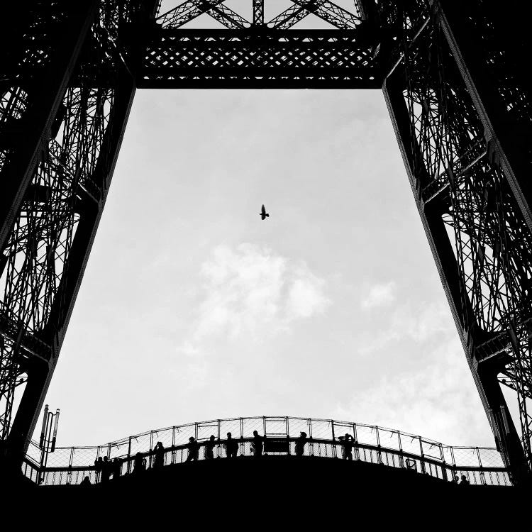 Birds-Eye View by Dave Bowman wall art