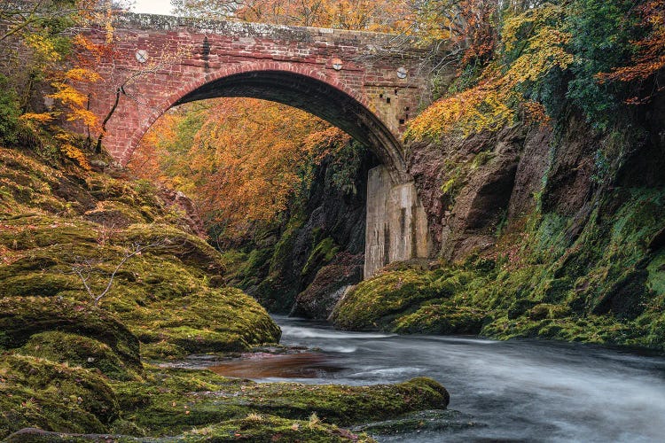 Gannochy Bridge In Autumn