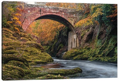 Gannochy Bridge In Autumn Canvas Art Print - Dave Bowman