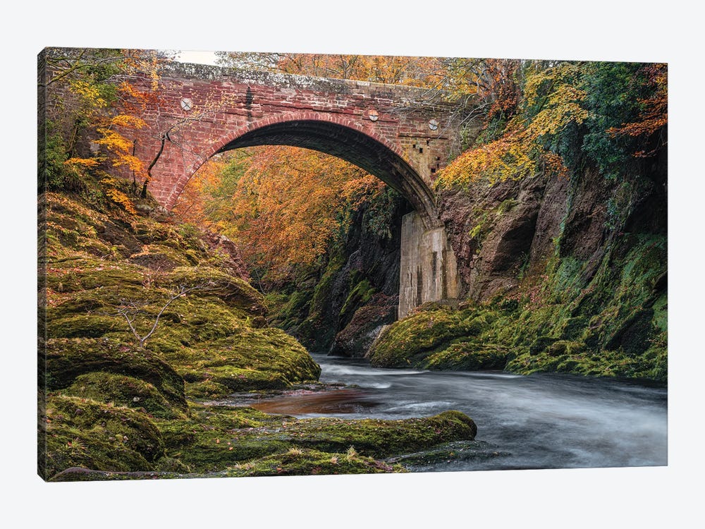 Gannochy Bridge In Autumn by Dave Bowman 1-piece Art Print