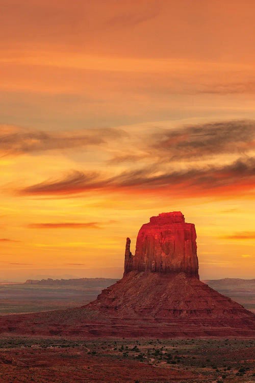 Red Tip Sunset by Dave Bowman wall art