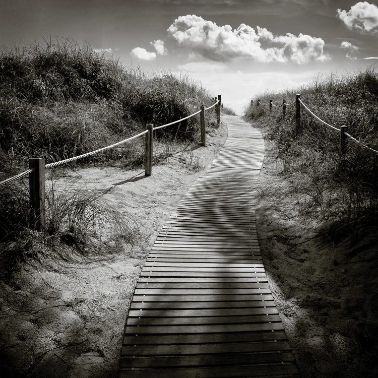 To The Beach