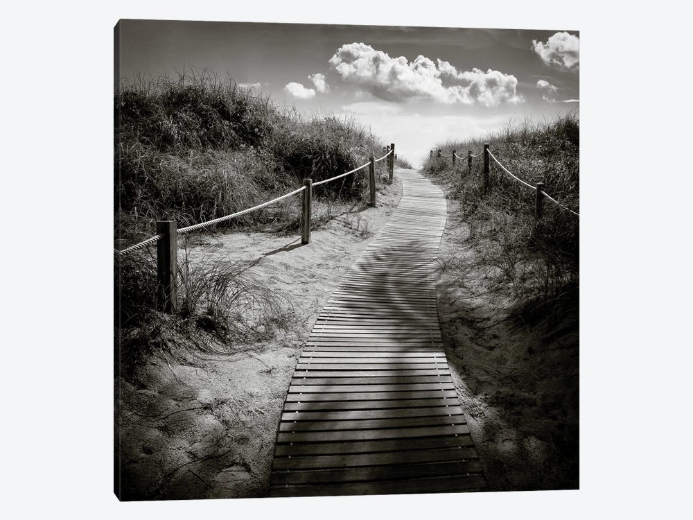 To The Beach by Dave Bowman 1-piece Canvas Art