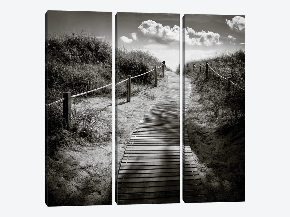 To The Beach by Dave Bowman 3-piece Canvas Art