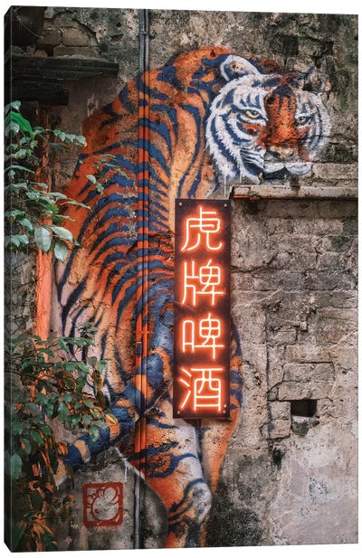Wall Tiger Canvas Art Print - Dave Bowman