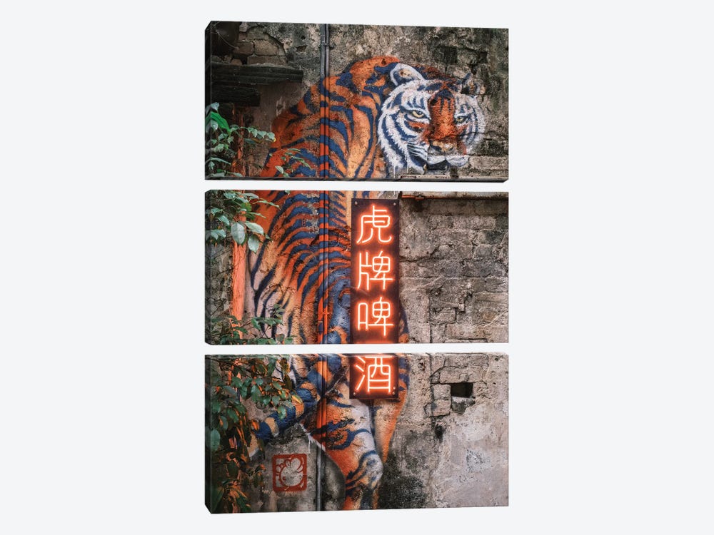 Wall Tiger by Dave Bowman 3-piece Art Print