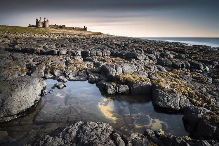 Dunstanburgh Castle by Dave Bowman wall art