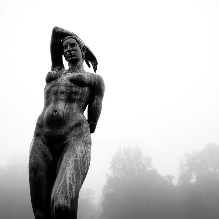 Lady In The Mist by Dave Bowman wall art