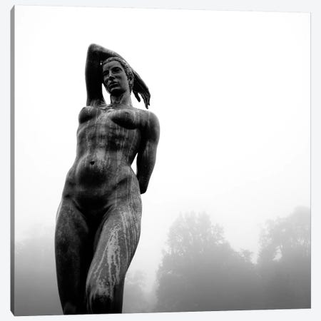 Lady In The Mist Canvas Print #DVB35} by Dave Bowman Canvas Wall Art
