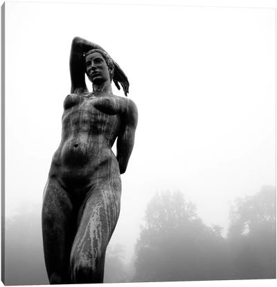 Lady In The Mist Canvas Art Print - Dave Bowman