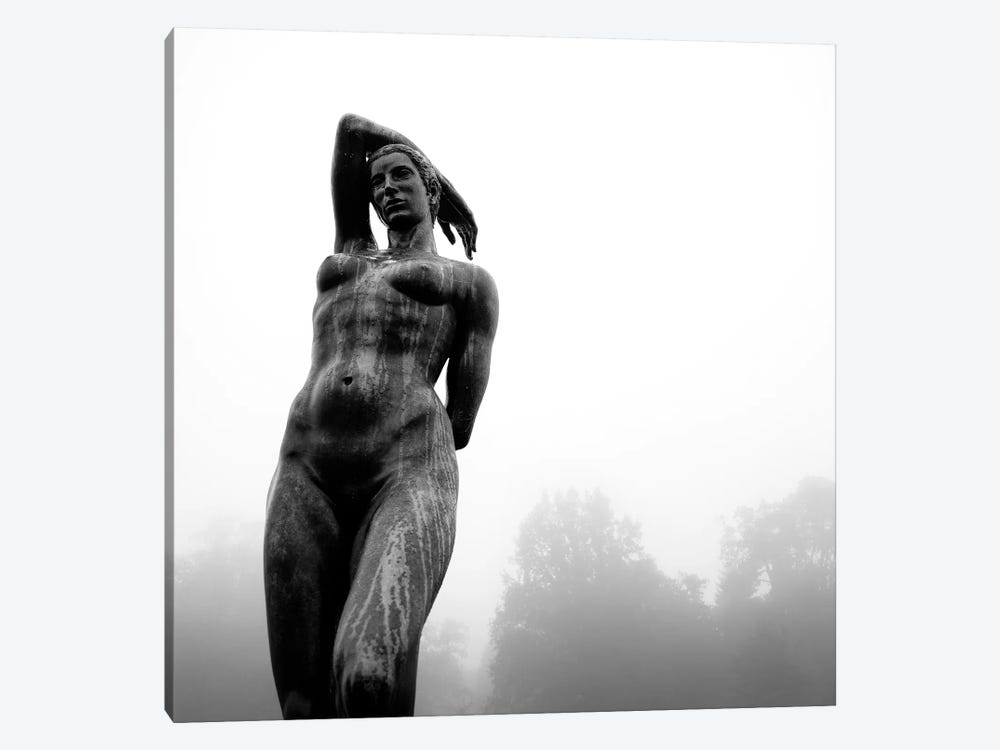 Lady In The Mist by Dave Bowman 1-piece Canvas Art