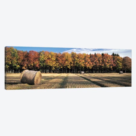 Autumn In The Fields Canvas Print #DVB3} by Dave Bowman Canvas Art