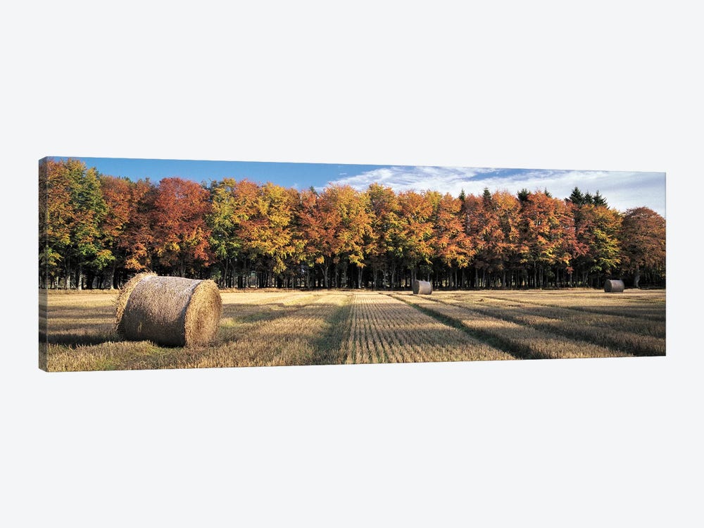 Autumn In The Fields by Dave Bowman 1-piece Art Print