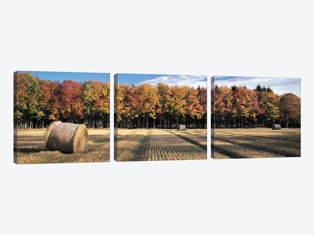 Autumn In The Fields by Dave Bowman 3-piece Canvas Art Print