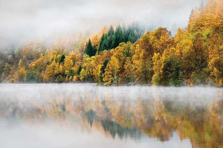 Autumn Mist