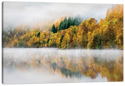 Autumn Mist Canvas Art Print - Dave Bowman