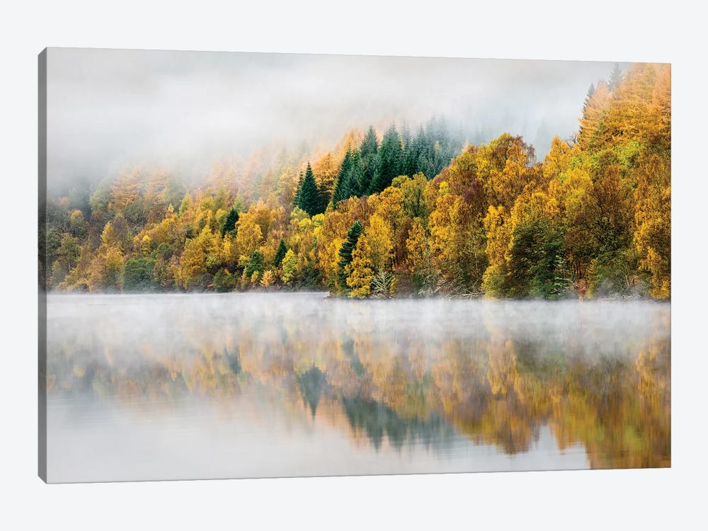Autumn Mist by Dave Bowman 1-piece Canvas Art