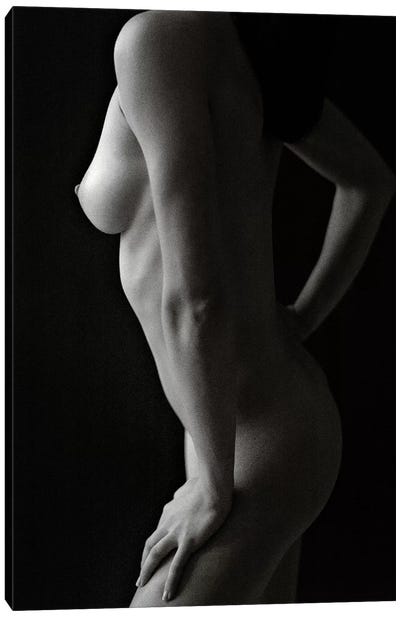 Nude Study VIII Canvas Art Print - Dave Bowman