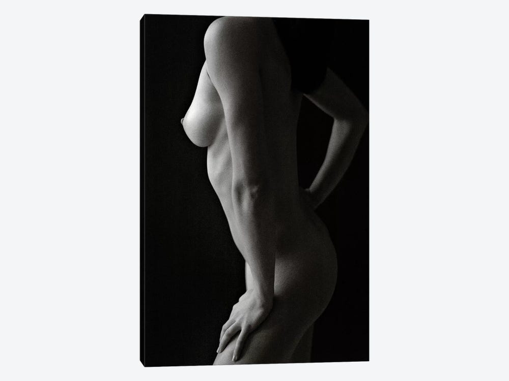 Nude Study VIII by Dave Bowman 1-piece Canvas Art
