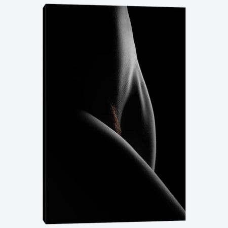 Nude Study X Canvas Print #DVB56} by Dave Bowman Canvas Artwork