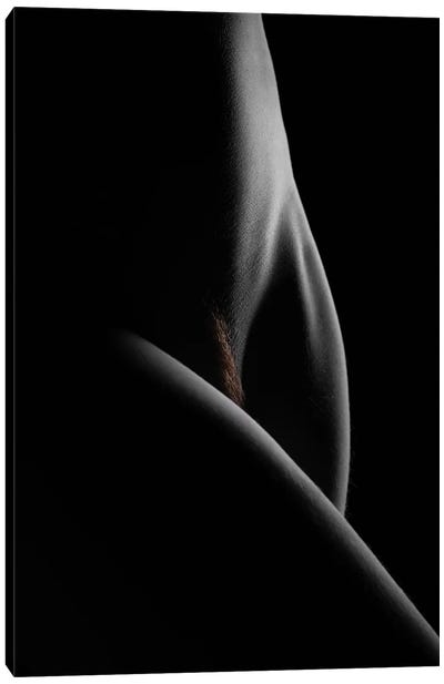 Nude Study X Canvas Art Print - Dave Bowman