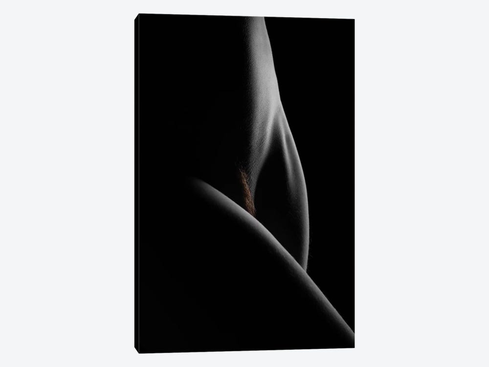 Nude Study X by Dave Bowman 1-piece Art Print