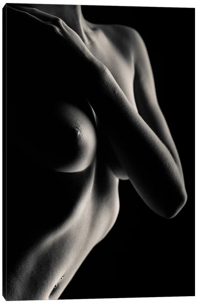 Nude Study XI Canvas Art Print - Dave Bowman