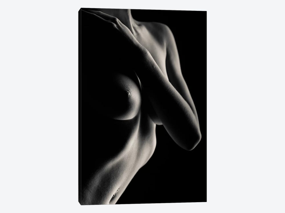 Nude Study XI by Dave Bowman 1-piece Canvas Artwork