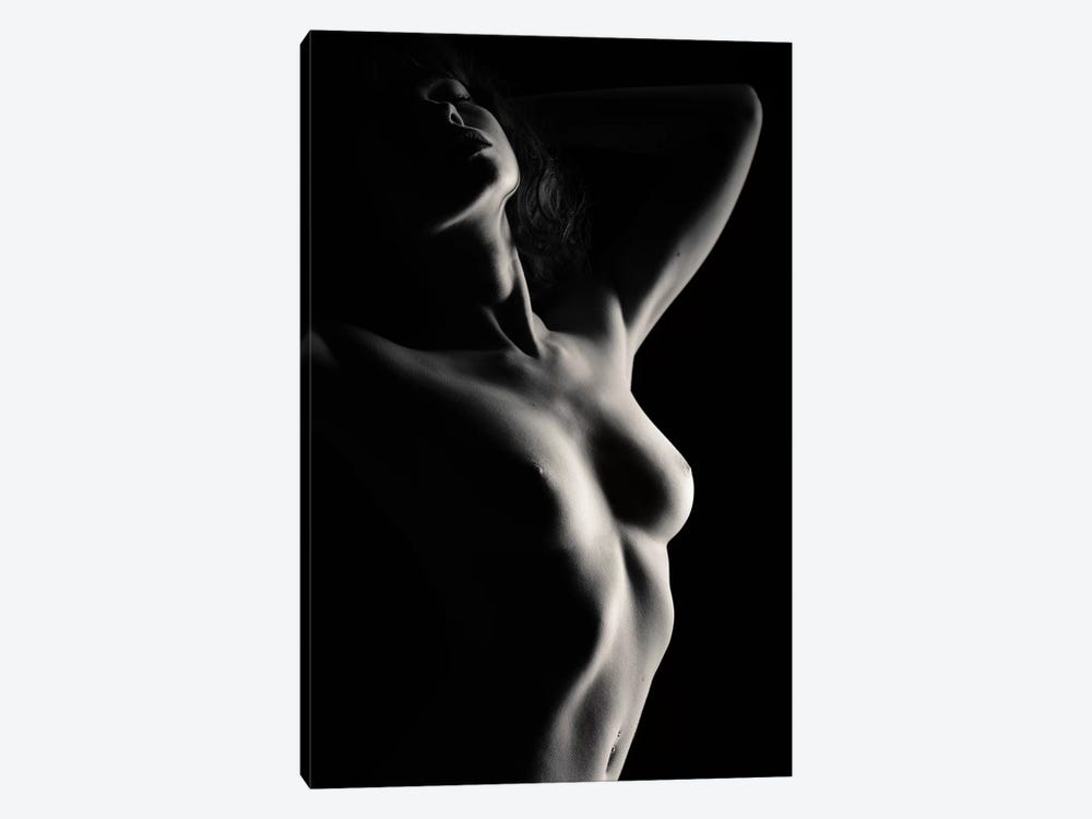 Nude Study XII by Dave Bowman 1-piece Art Print