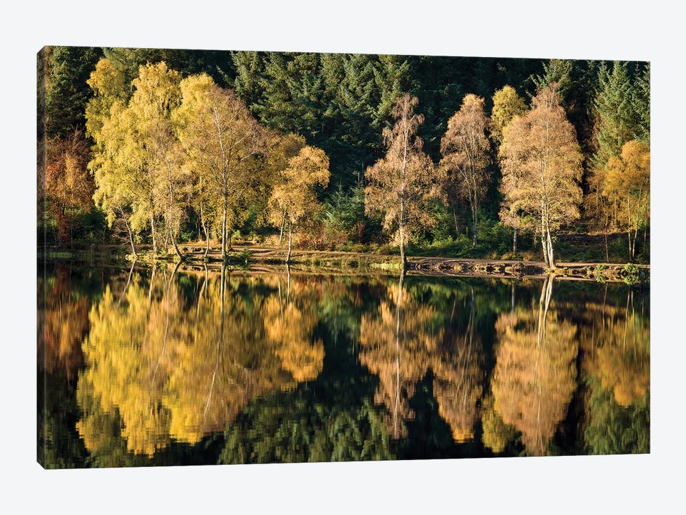 Autumn On Glencoe Lochan by Dave Bowman 1-piece Canvas Print