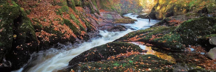 River Esk Rapids by Dave Bowman wall art