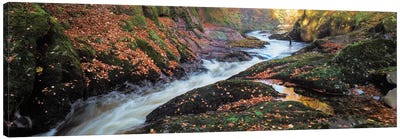 River Esk Rapids Canvas Art Print - Dave Bowman