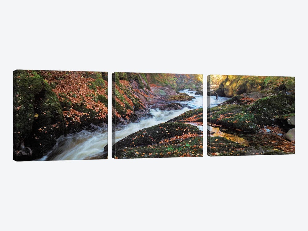 River Esk Rapids by Dave Bowman 3-piece Canvas Print